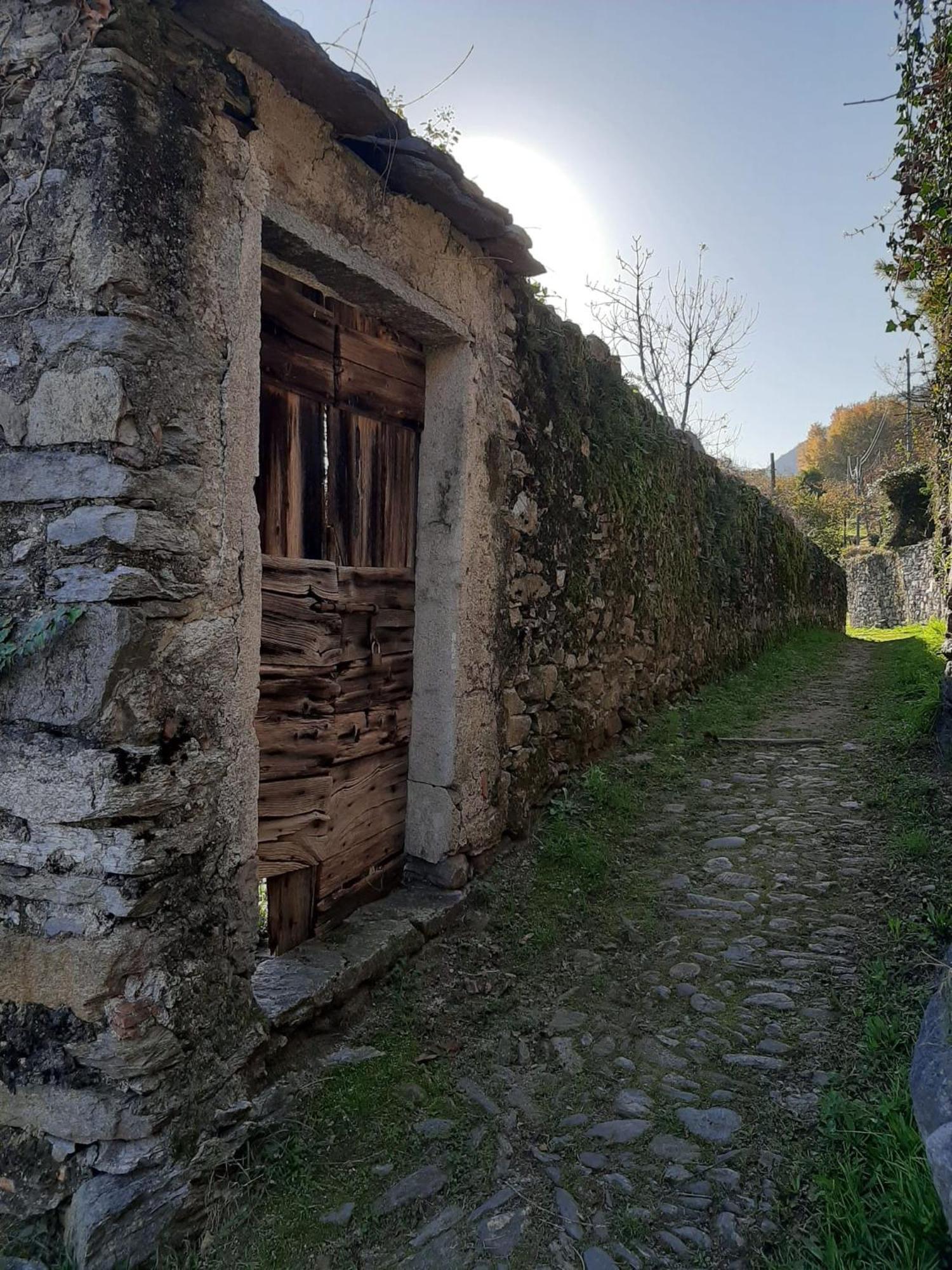 Apartamento Residenza Le Camelie Oggebio Exterior foto